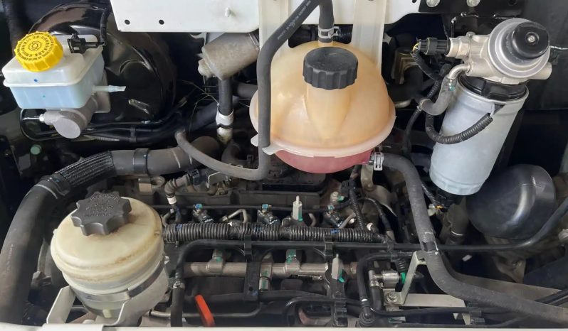 
								2019 LDV V80 full									